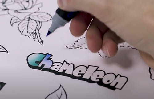 Chameleon Art Products