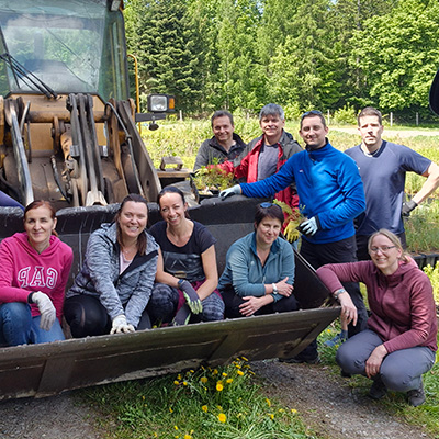 Team building