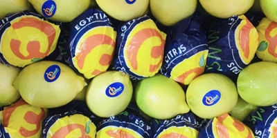 Lemons-abstract.jpg